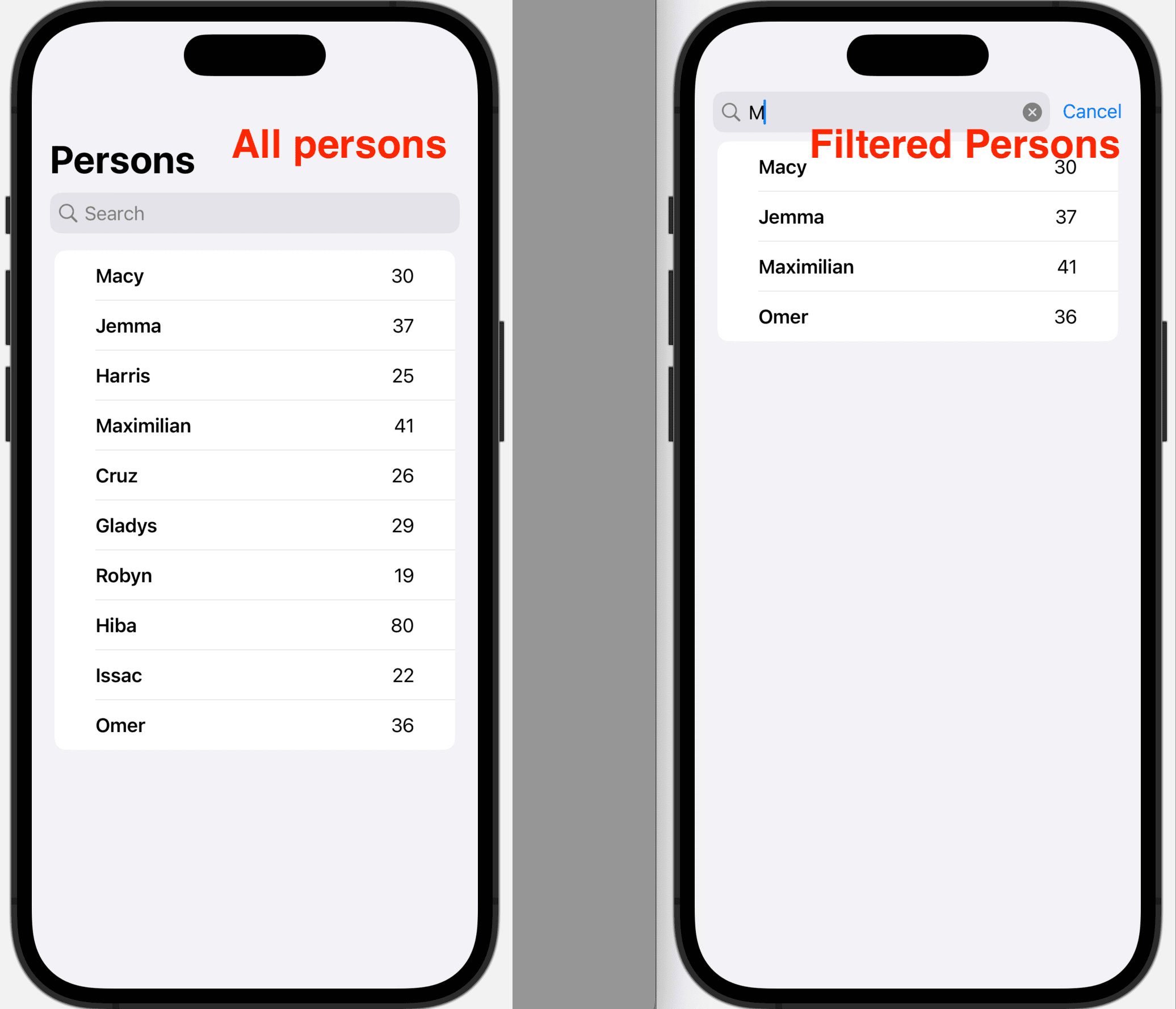 Searchable List in SwiftUI